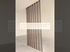 맞춤형 알루미늄 체인 플라이 스크린: 체인 플라이 스크린 요구 사항에 대한 최고의 솔루션