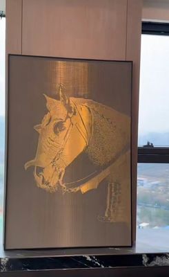 빌라 3d 금속 Mesh / 구리 Mesh / 청동 Mesh 직물 벽화
