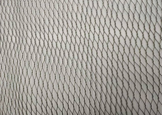 50x50mm 녹슬지 않는 가동 가능한 철망사 1.6mm Dia 땋는 철망사 새 스크린
